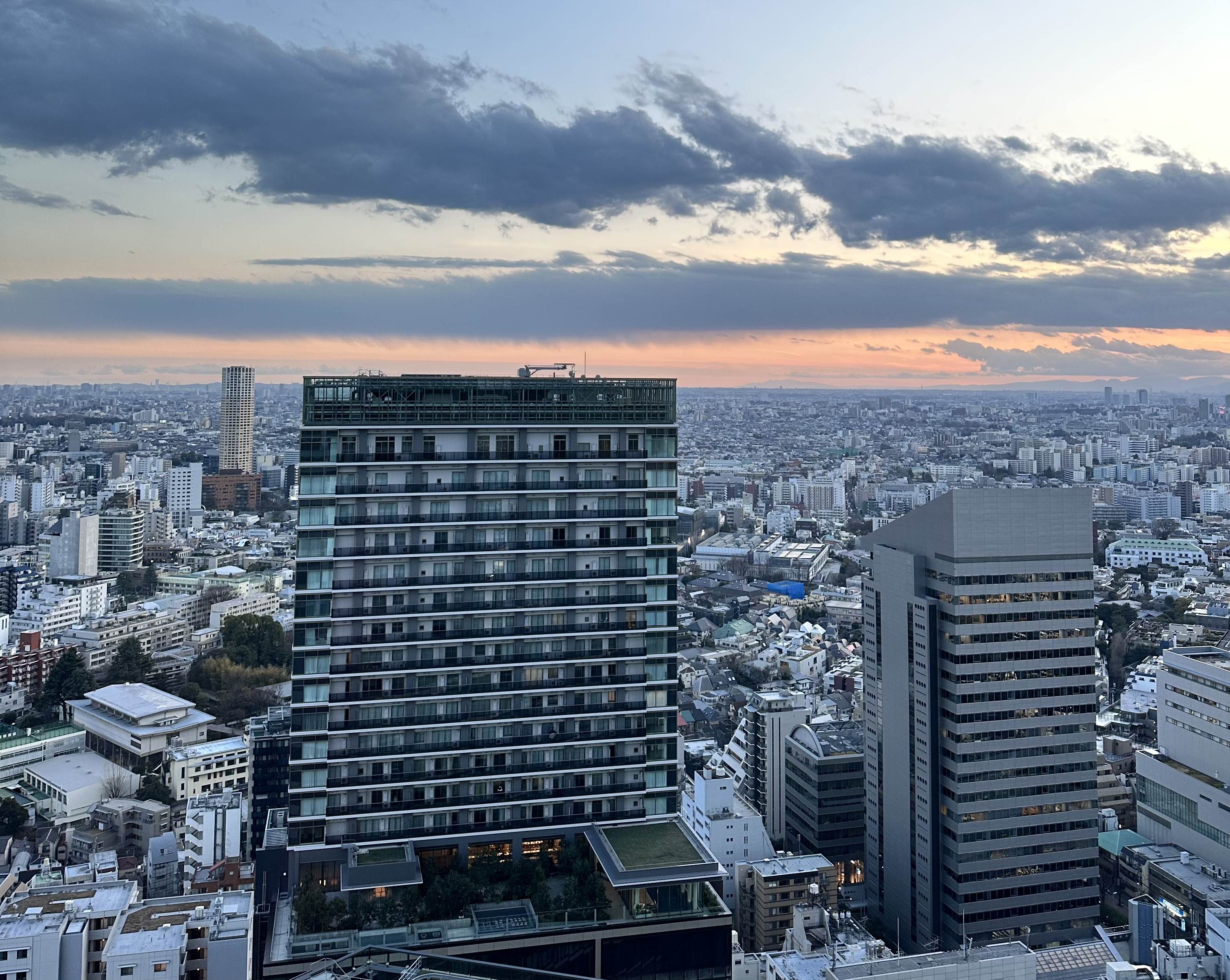 View of Tokyo from my former corporate office